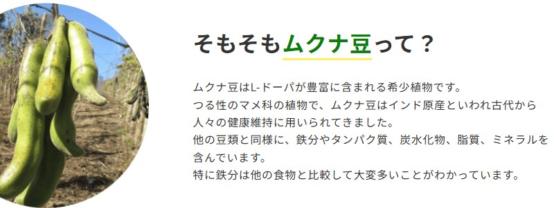 �����Ղ��{�� ���N�i���ʔ� �V�R�k�h�[�p��A�~�m�_��
���T�C�g